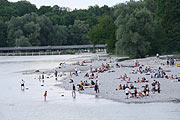 gleich in der Nähe: die Isar und sie Isarauen (Foto: Martin Schmitz)